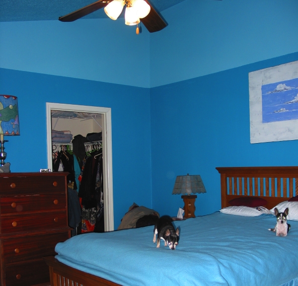 high ceiling with light & dark blues