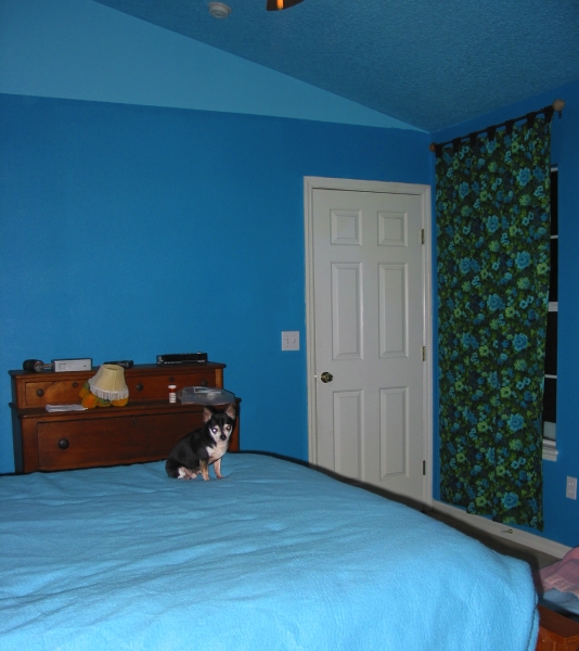 high ceiling with light & dark blues