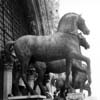 64-venice-horses
